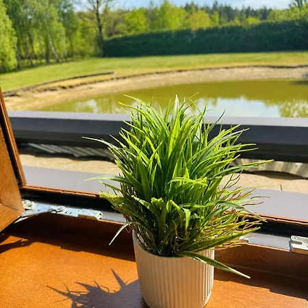 Argentum Private Basen Sauna Jacuzzi 3*