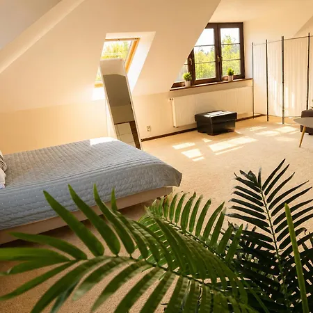 게스트하우스 Argentum Private Basen Sauna Jacuzzi Koszelowka